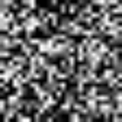 Diffusion Model Preview